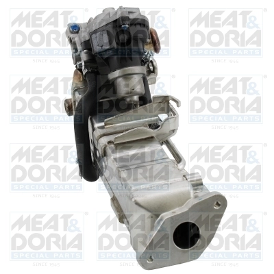 EGR Module